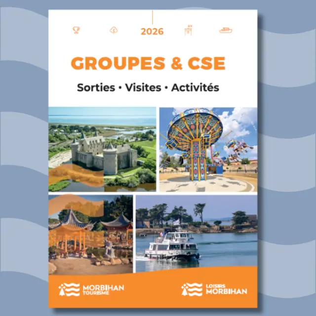 Groupes Et Cse